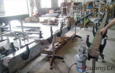 出口到國(guó)外的飲料輸送線(xiàn)（塑鋼板鏈輸送機(jī)）